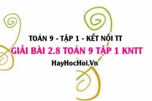 Bài 2.8 Toán 9 tập 1 SGK Kết nối tri thức